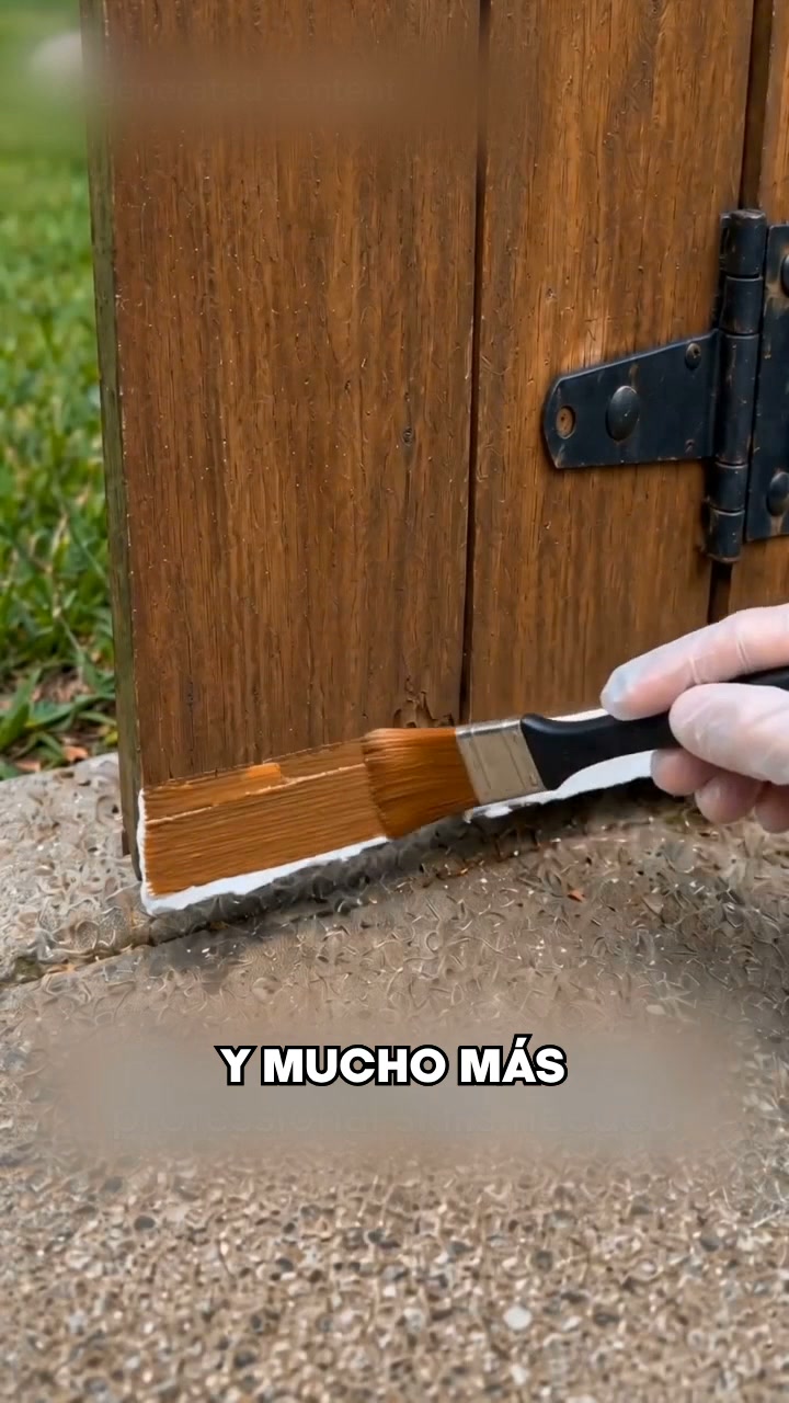Envío Gratis: 24h y Pago Contrarrembolso
