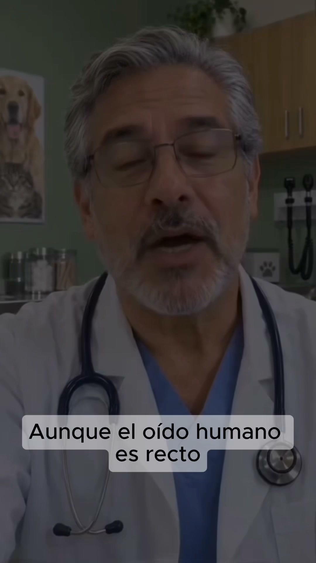 En Peludos, la salud de tu perro está en buenas manos