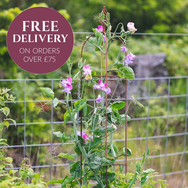Free Delivery Over £75