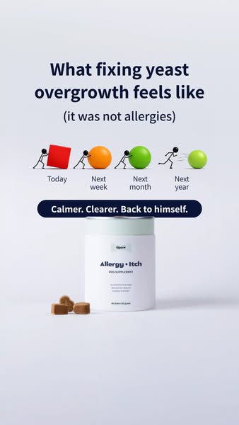 Why Tipaw Stops Yeast Coming Back