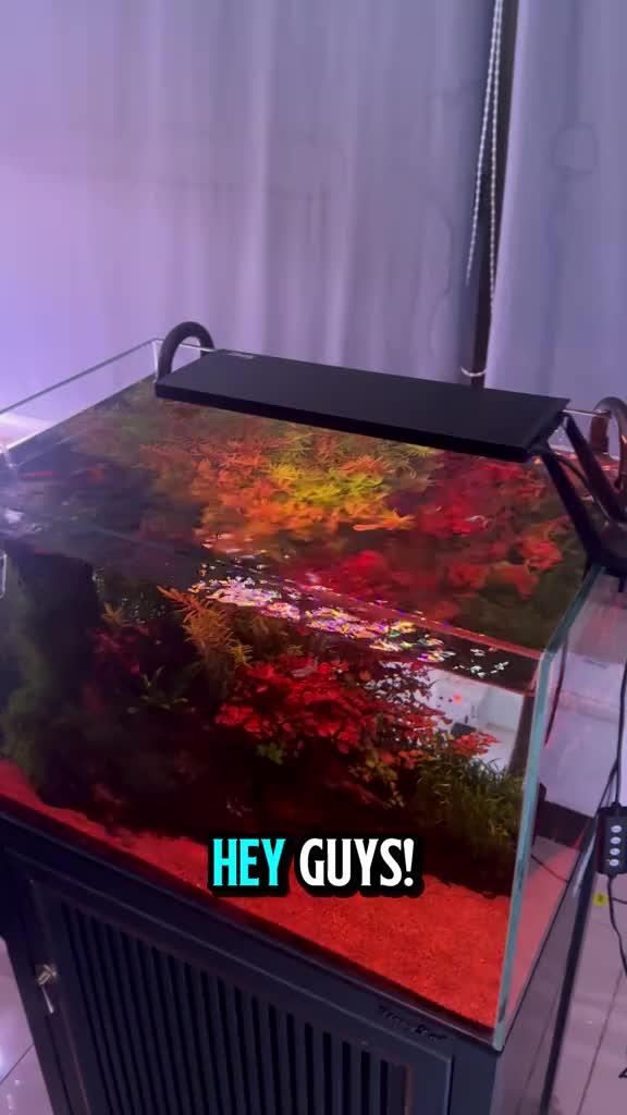 Aquarium LED Light