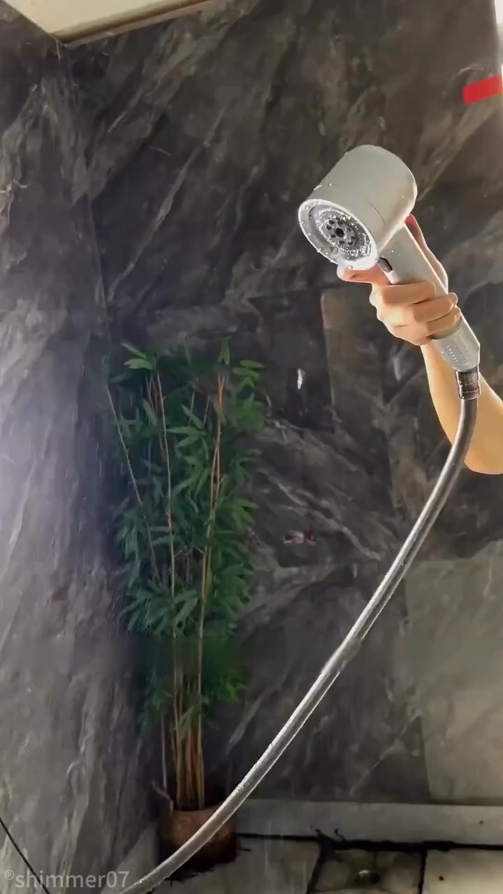 Pressurized shower