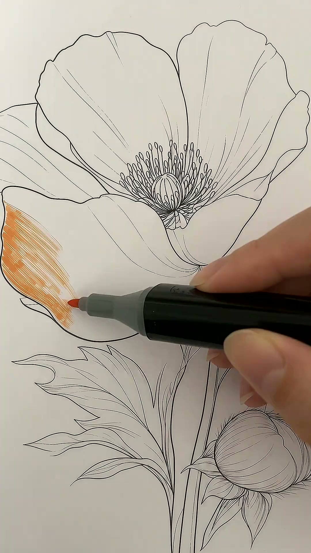Finally, colouring that doesn't bleed through