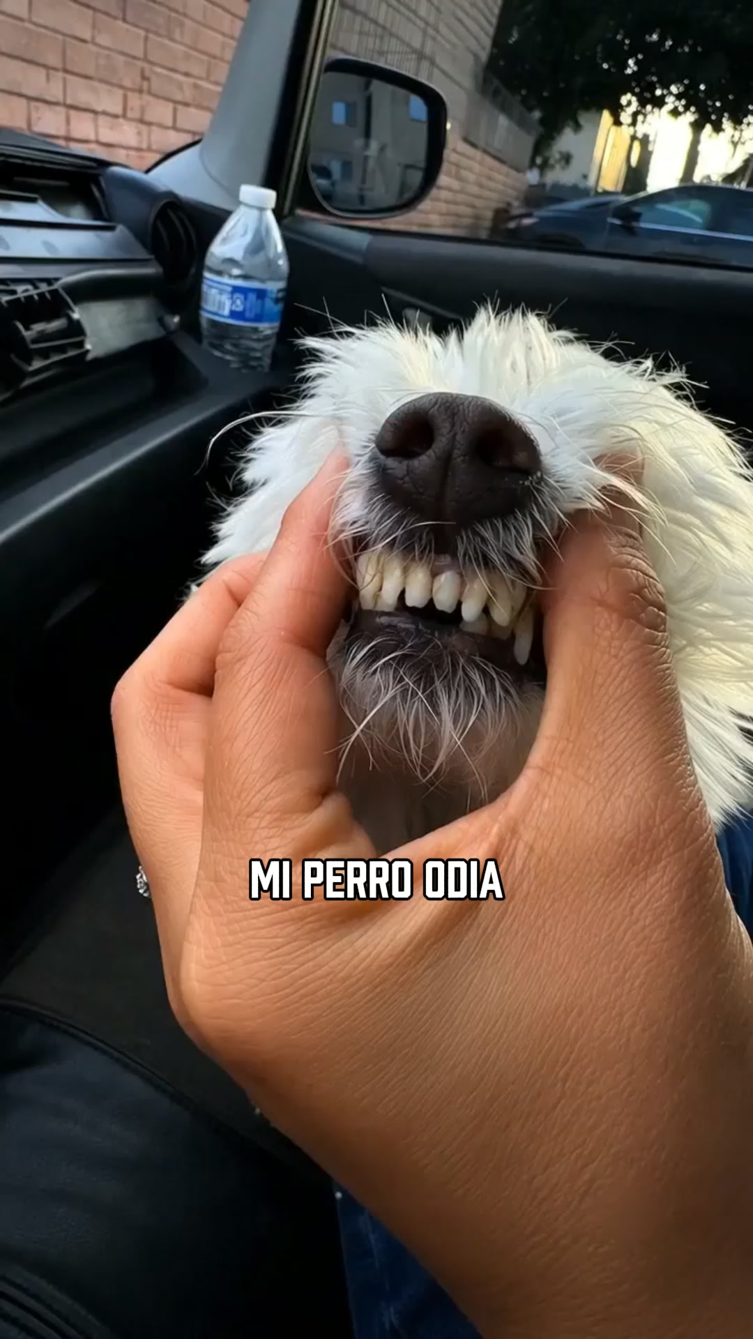 ENVÍOS GRATIS + PAGAS AL RECIBIR