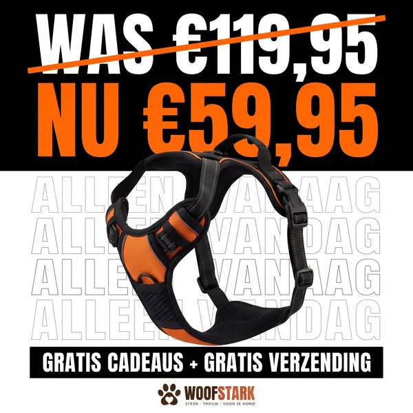 Actie voor nieuwe klanten · tot 60% besparen + 3 cadeaus