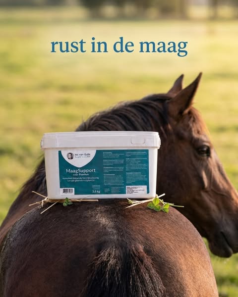Ondersteun van binnenuit