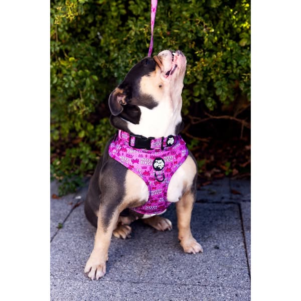 Needy bi**h collarOur collars are an awesome add on with or without a harness. They have a D ring to connect leads or name tags. Why You’ll