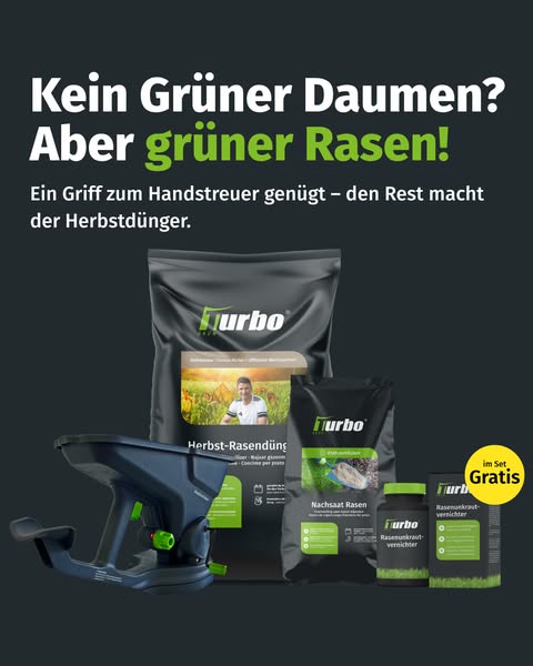 Rasen nach dem Sommer retten