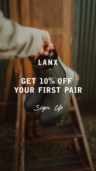 10% OFF LANX