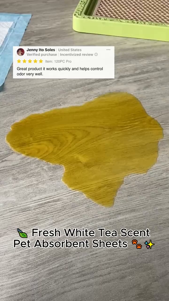 2026 Sale — Over 48,000 Sold! Super Absorbent Dog Pee Pads