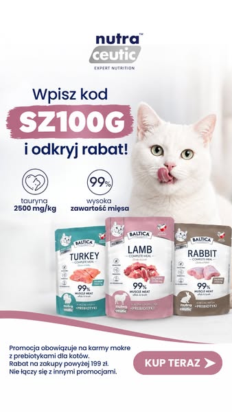 Zamów taniej z kodem SZ100G