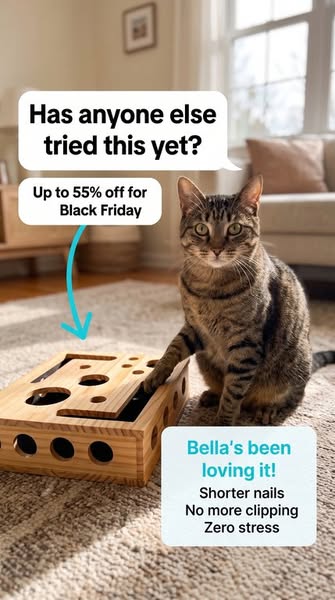 Read If It's Impossible To Cut Your Cat's Nails