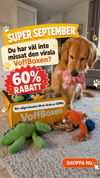 15 hundleksaker för endast 449 kr!