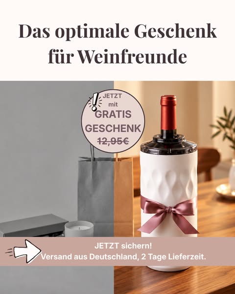 Cool & Carry | To-Go Edelstahl-Weinkühler + Geschenk