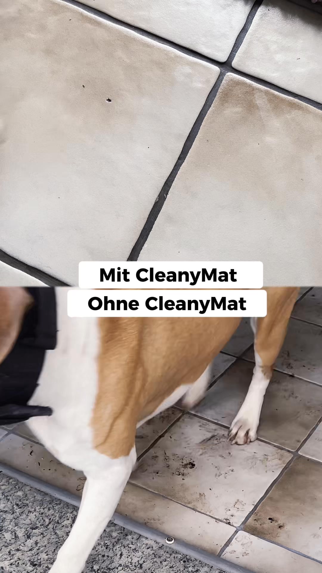 Keine dreckigen Pfoten