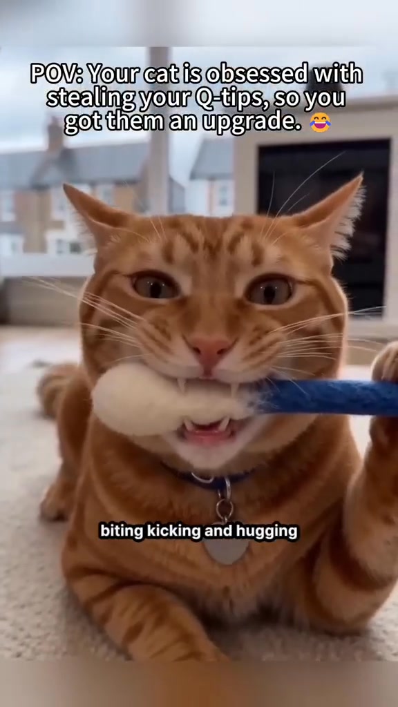 Swabs Large Size Cat Toys with Catnip