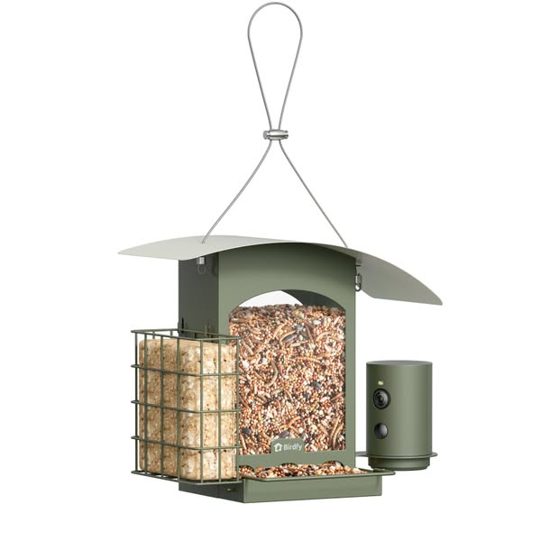 New launch & enjoy 42%OFF
Birdfy Metal Smart Bird Feeder A