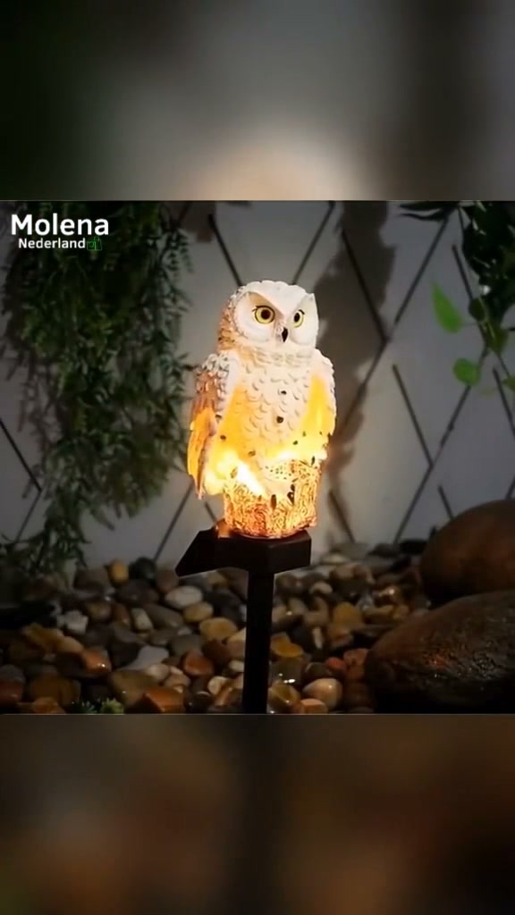 Sfeervol licht voor donkere avonden
