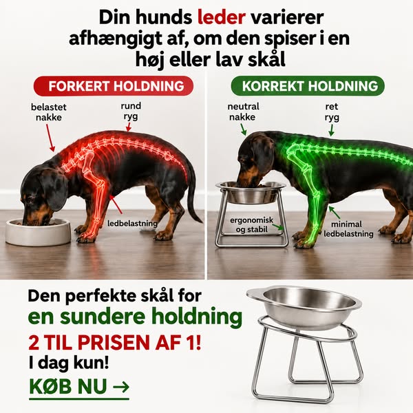 Smid plastikken ud. Opgrader spisetiden.