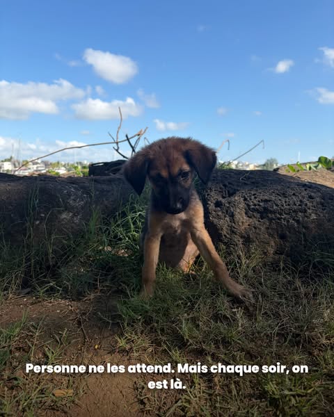 1 bracelet = 10 repas financés