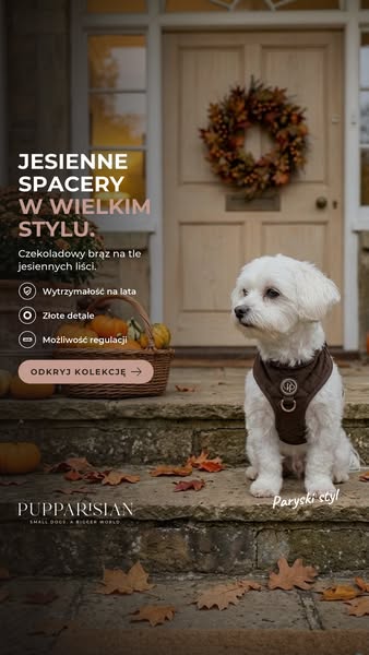 Czekoladowy brąz. Look sezonu
