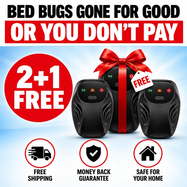 Limited offer: 2+1 FREE
