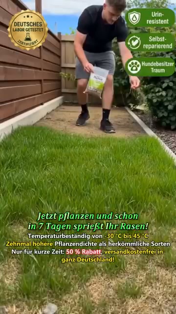 Sonderangebote