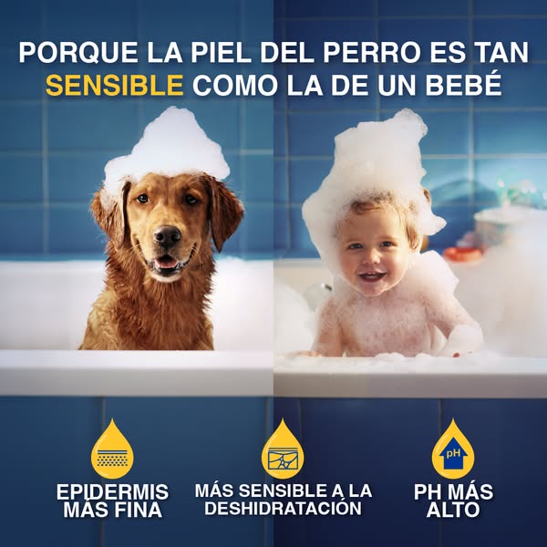 Ahora nuevo: DOUXO SPA