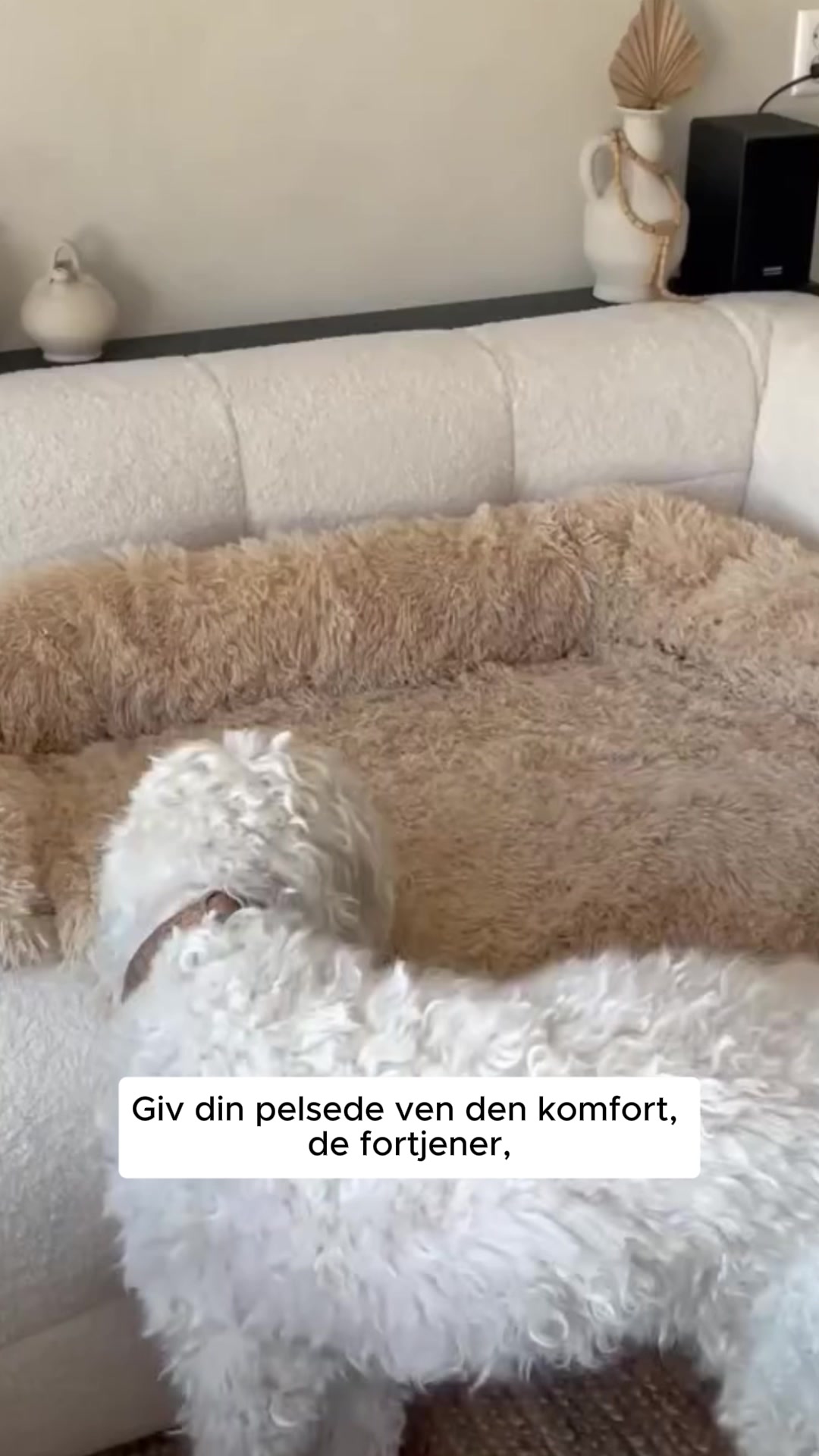 Dybere søvn til din hund – mindre uro i hverdagen med SnugPaws™ 4,8/5