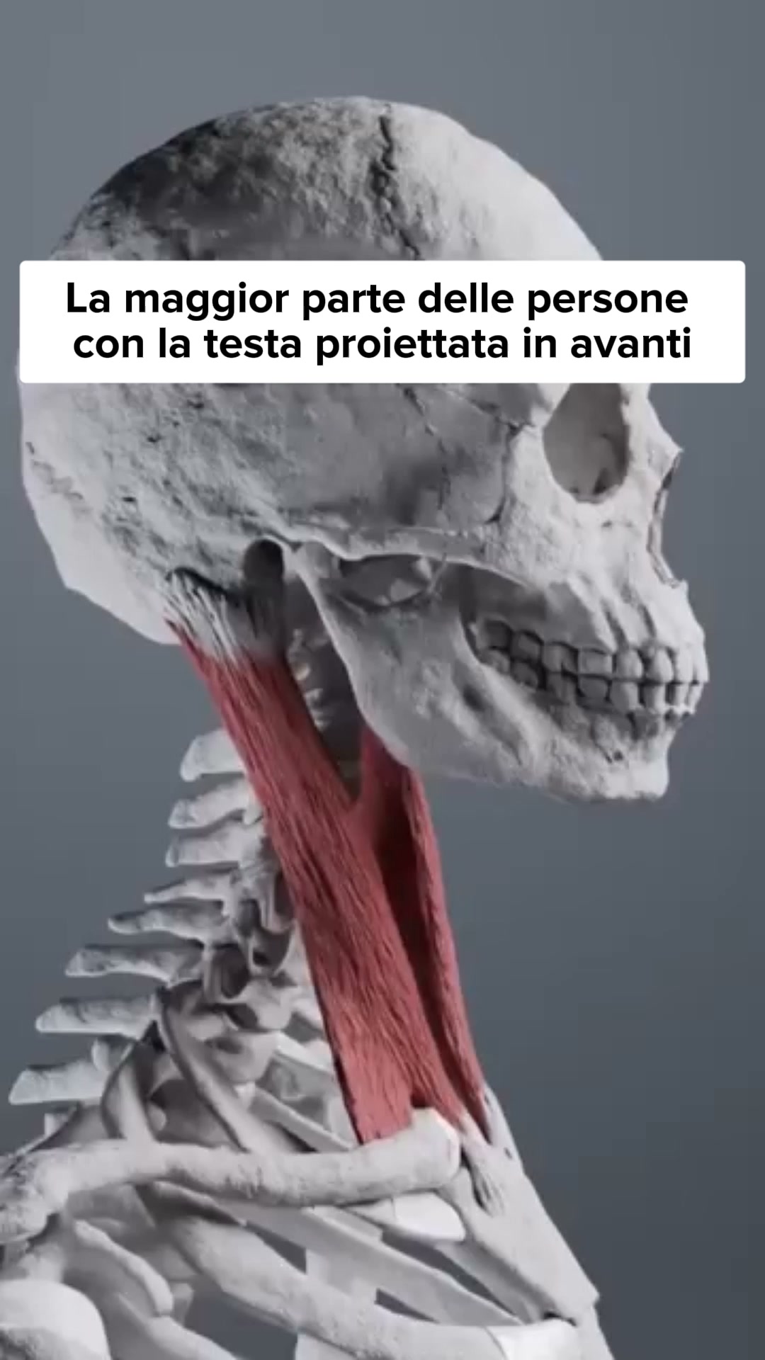 Sollievo dal dolore cervicale