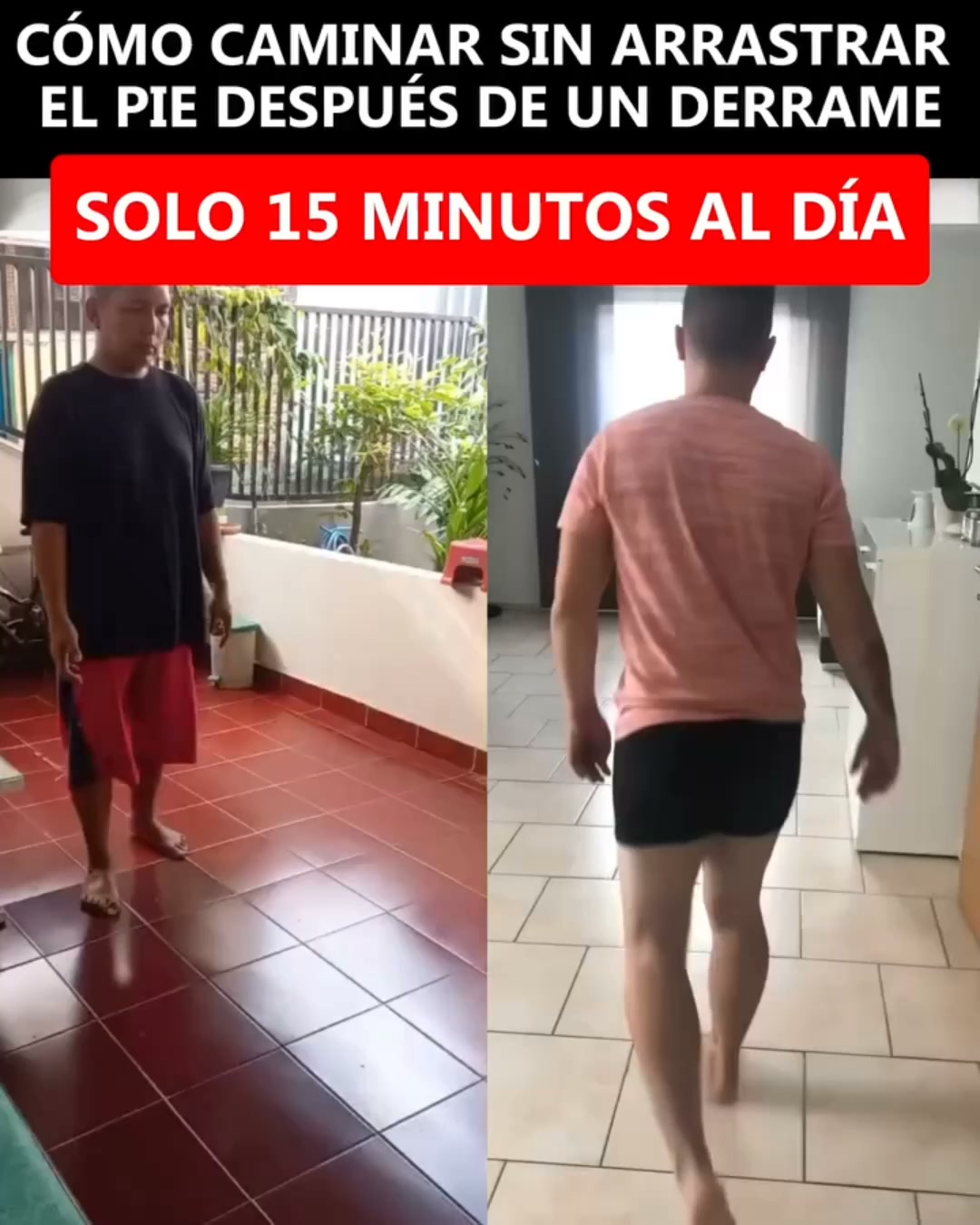 Purolina EMS por 39 € — Solo 100 unidades