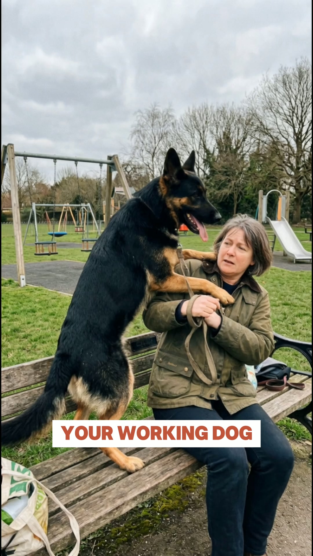 Your Dog Isn't Broken