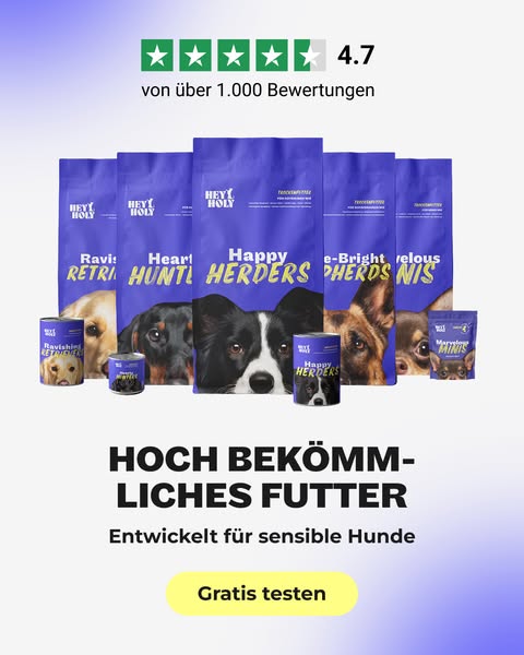 Gratis Kennenlern-Menü testen!