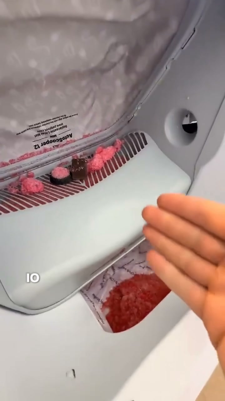 Più gatti? Zero paletta