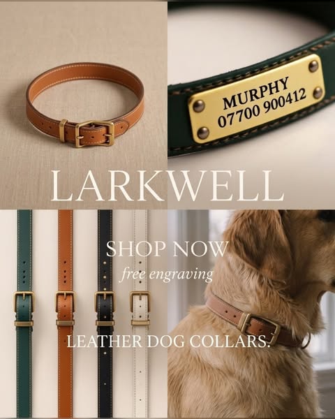 Leather dog collars, engraved free
