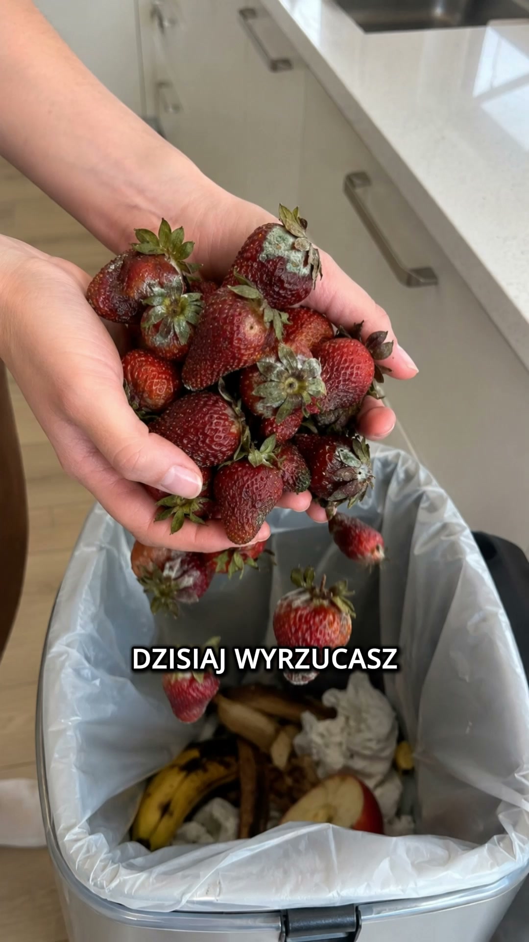 Pakowanie próżniowe XXI wieku
