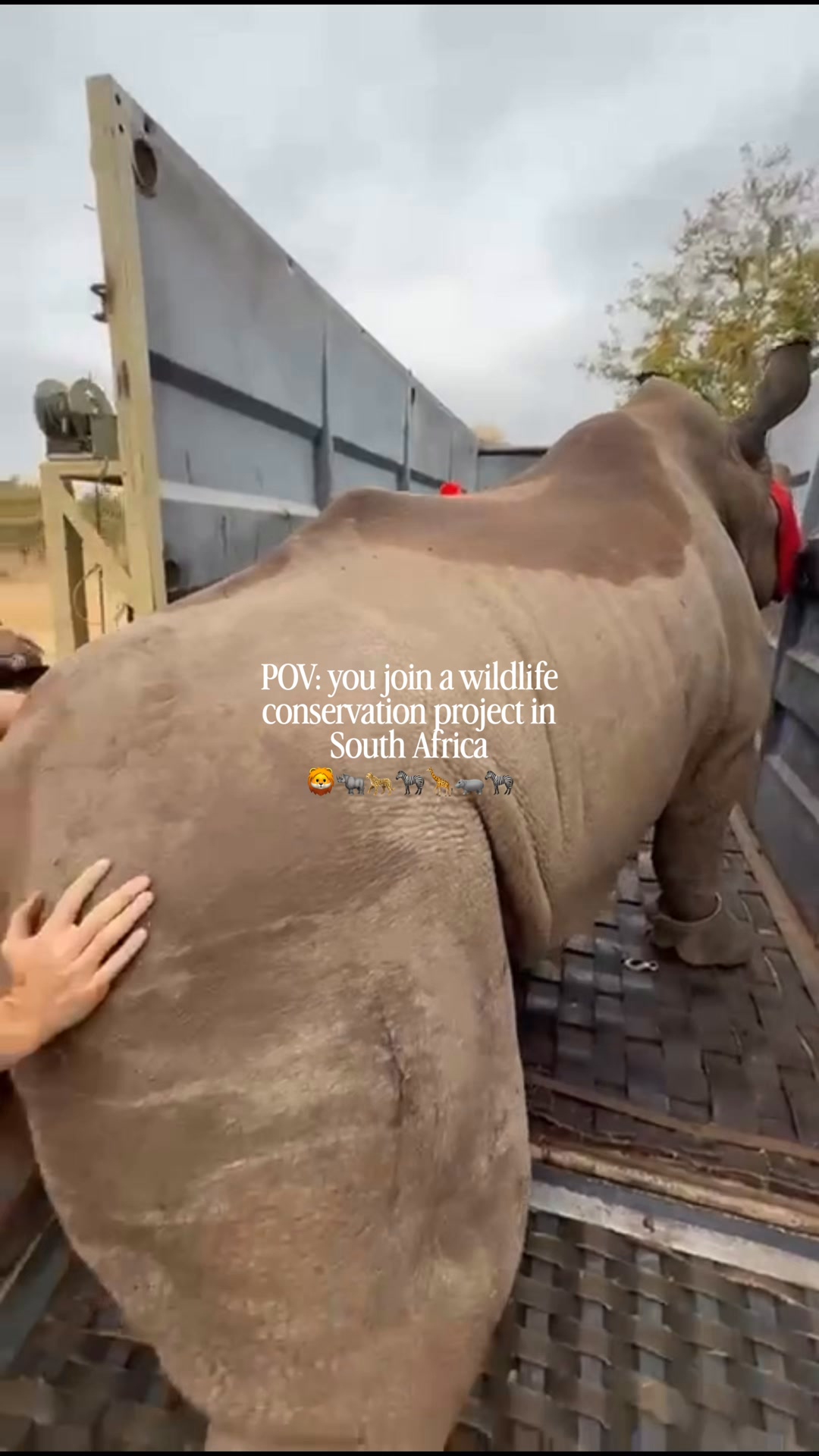 Explore the Kruger Project today!