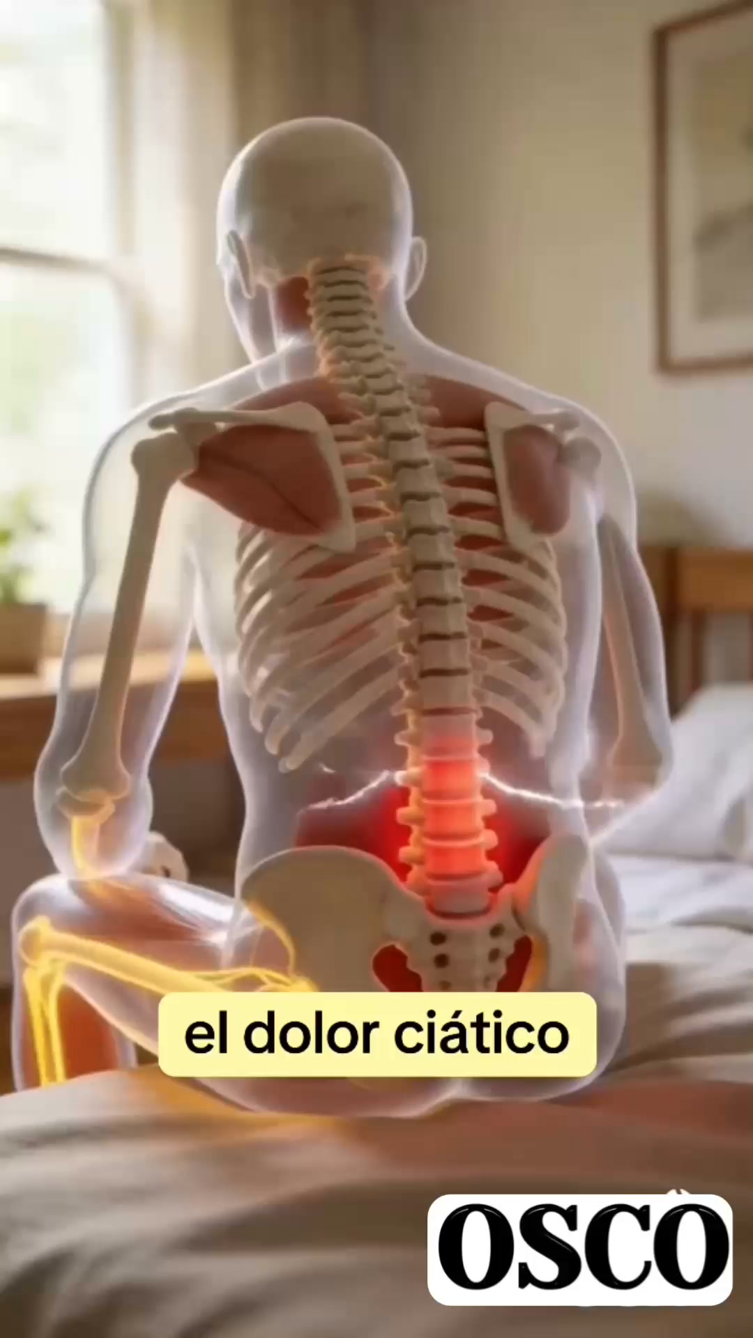 El secreto para descomprimir la columna sin ir al fisioterapeuta.