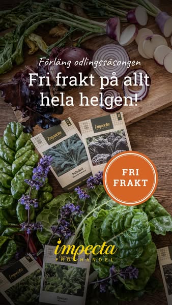 Fri frakt hela helgen