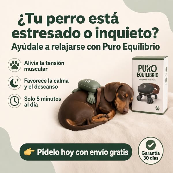 Ayuda a tu perro a relajarse