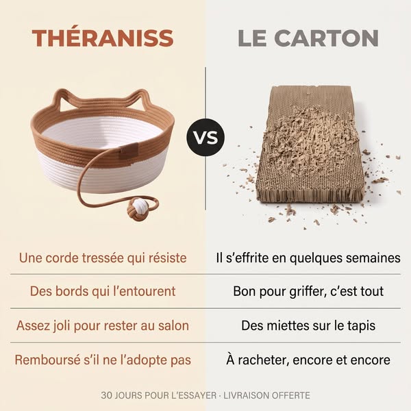 Votre chat a raison de préférer le carton