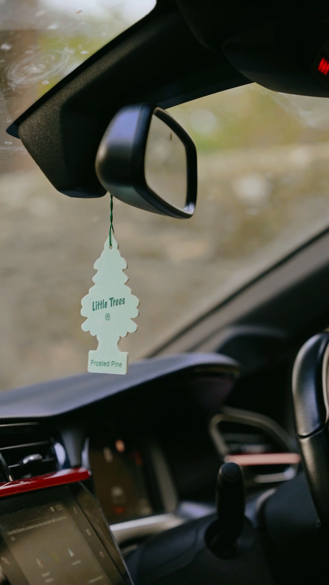 Real Trees, Delivered To Your Door