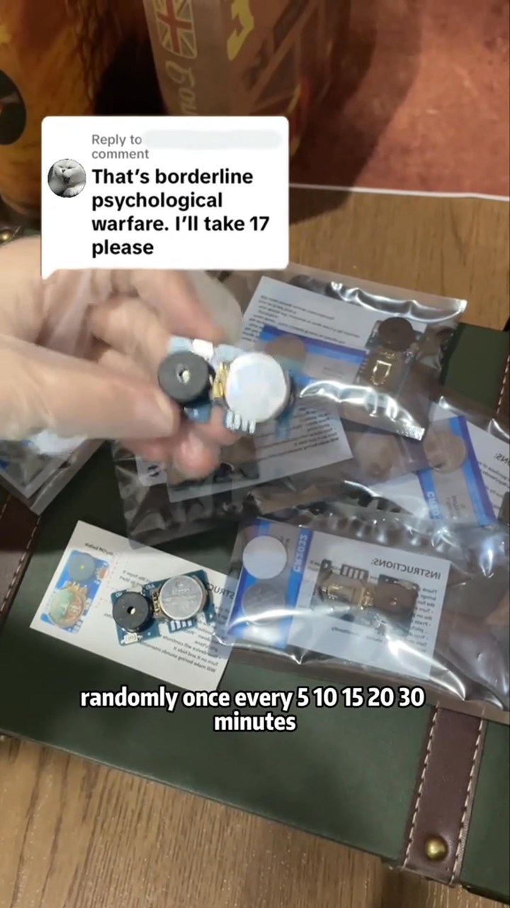 Hot Sale -Invisible Cricket: The Ultimate Sound Prank