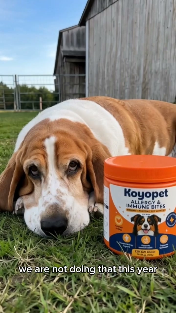 Stop Your Dog's Scratching This Summer