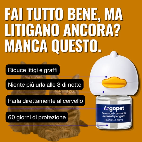 Aiuta il tuo gatto a vivere senza stress con Argopet.