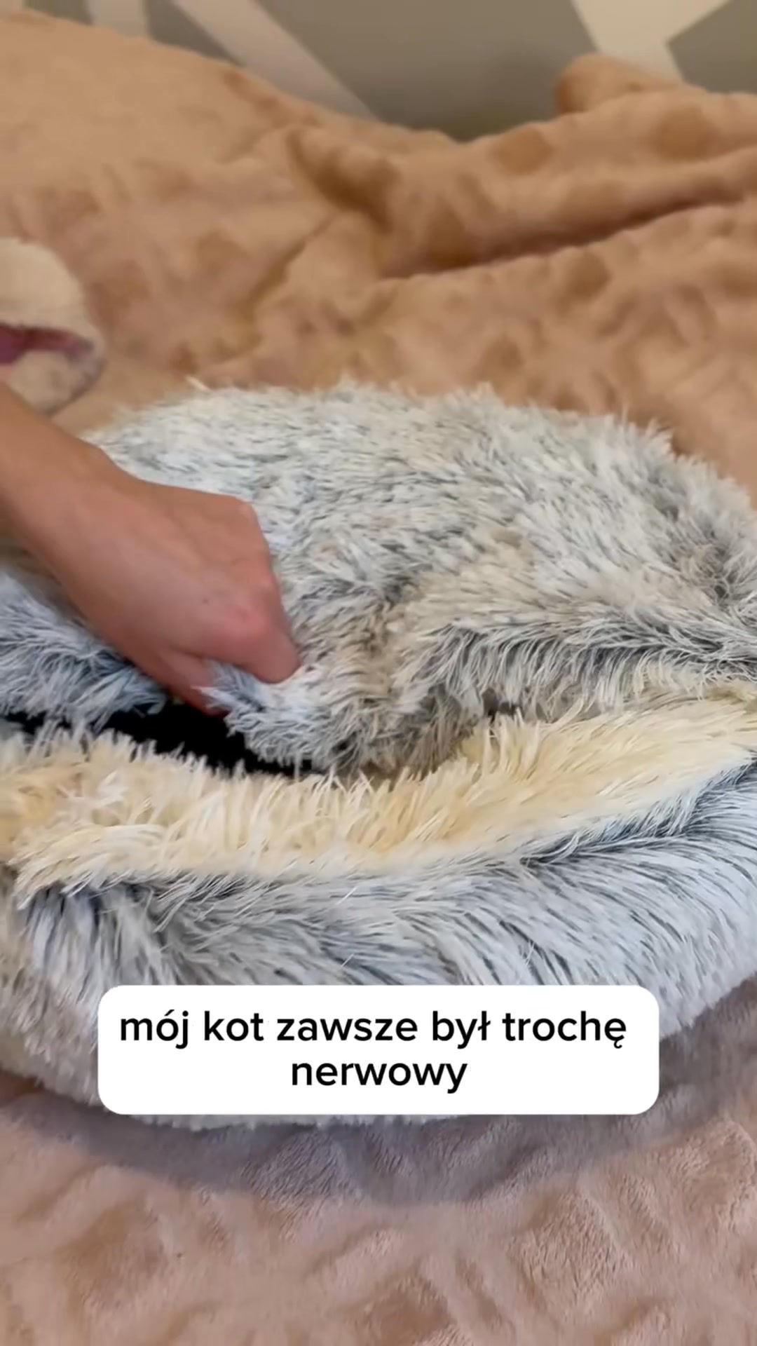 Tylko dziś: -50% i darmowa dostawa!