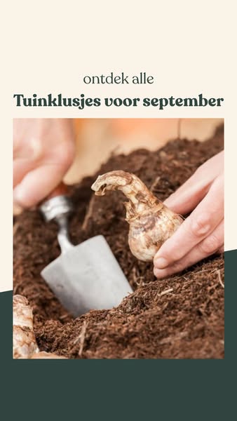 Angelo’s tuinklusjes