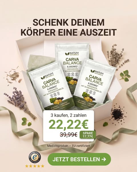 50% RABATT bis Mitternacht