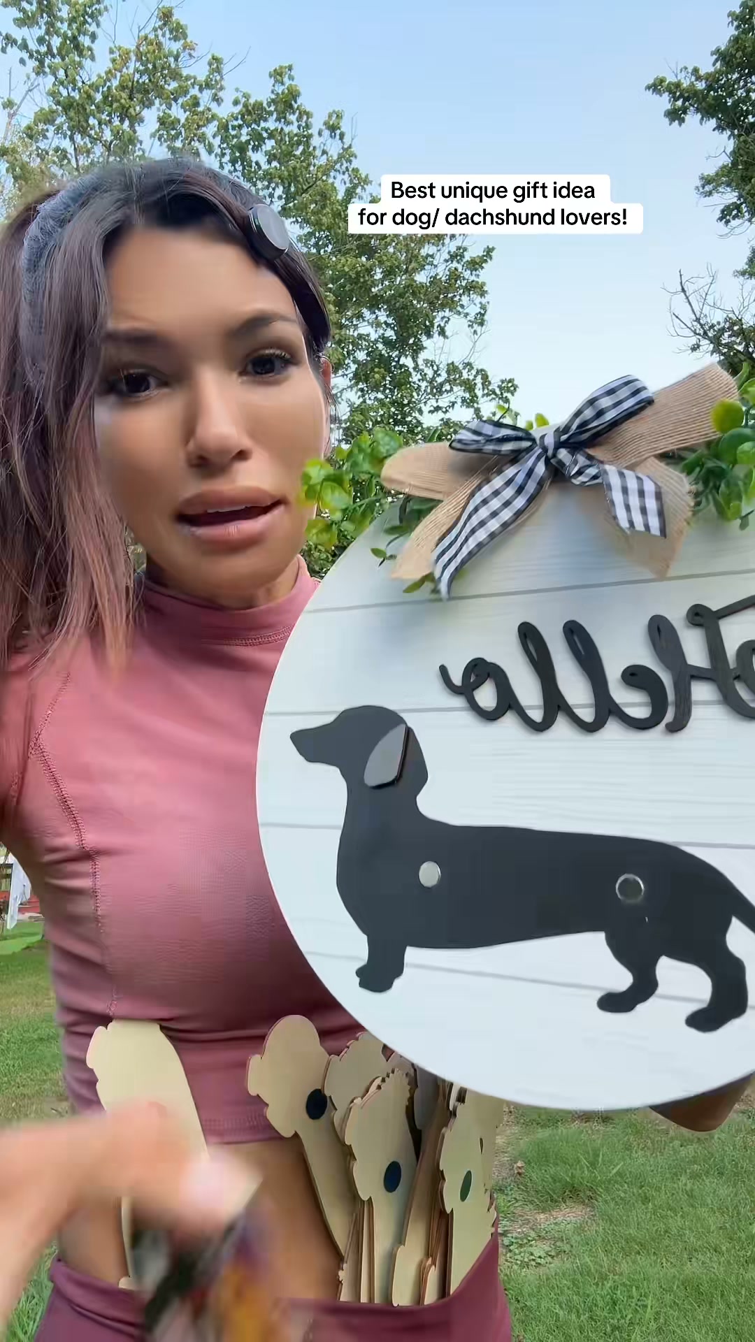 Interchangeable Dachshund Hello Door Sign