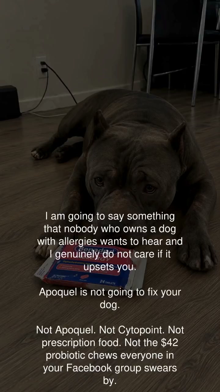Read This Before Your Next Vet Bill